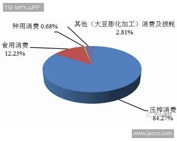 布星与比尔森的历史交锋与发展演变全景分析