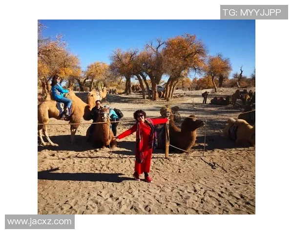 弗格的传奇人生与不朽精神探寻之旅